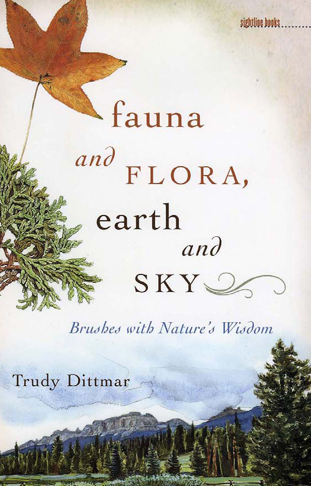 Dittmar book cover