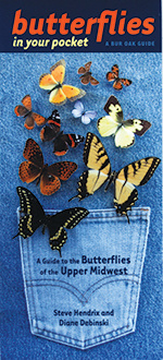 Butterflies in Your Pocket